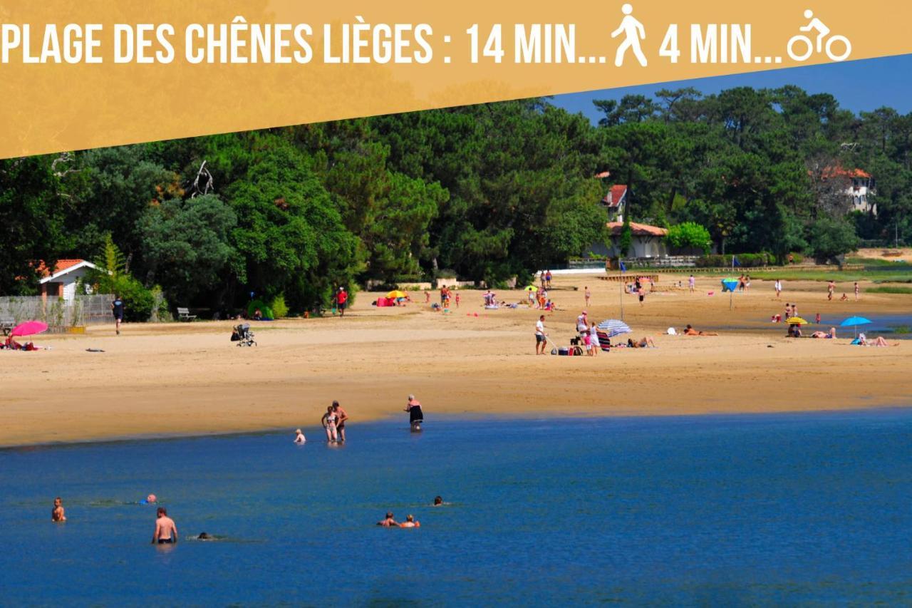 Apartment * Hossegor * Renove * Piscine * Parking * Famille *